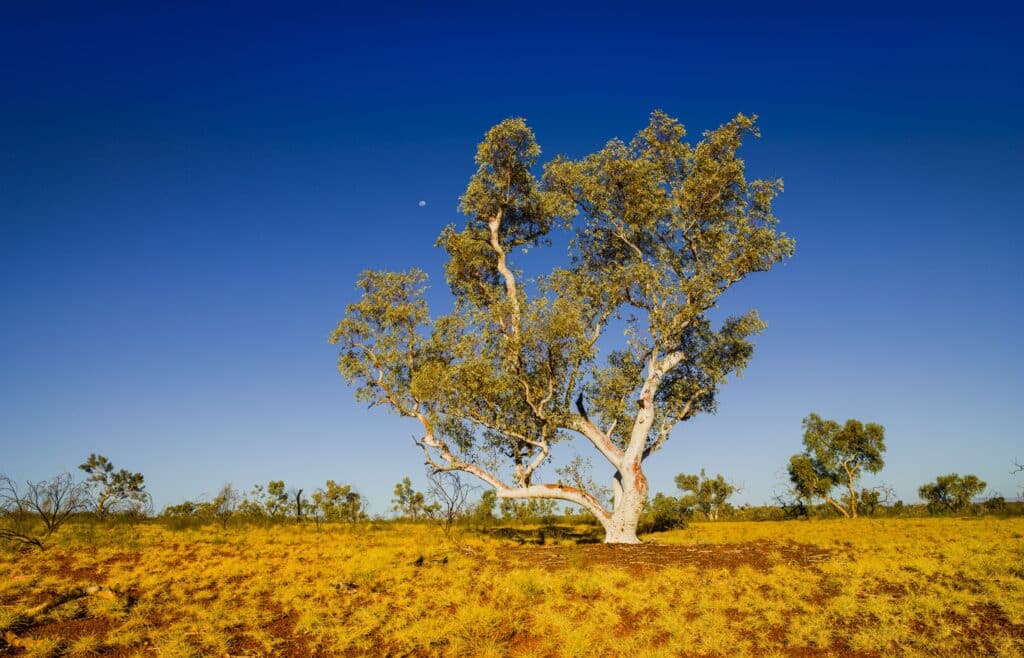 Land Development Adelaide